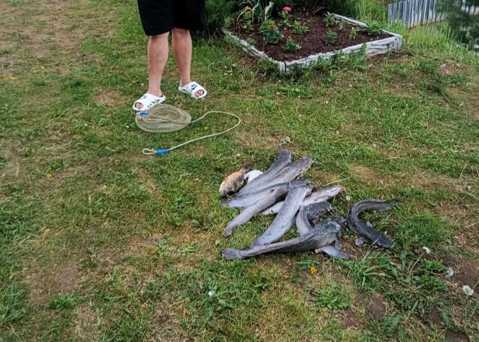 Продажа офиса  